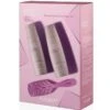 Alfaparf Lisse Design Keratin Therapy Maintenance Smoothing Set