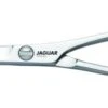 Jaguar Silver Ice Scissor, 6"