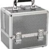 Hair & Beauty Case Silver Metallic, Small